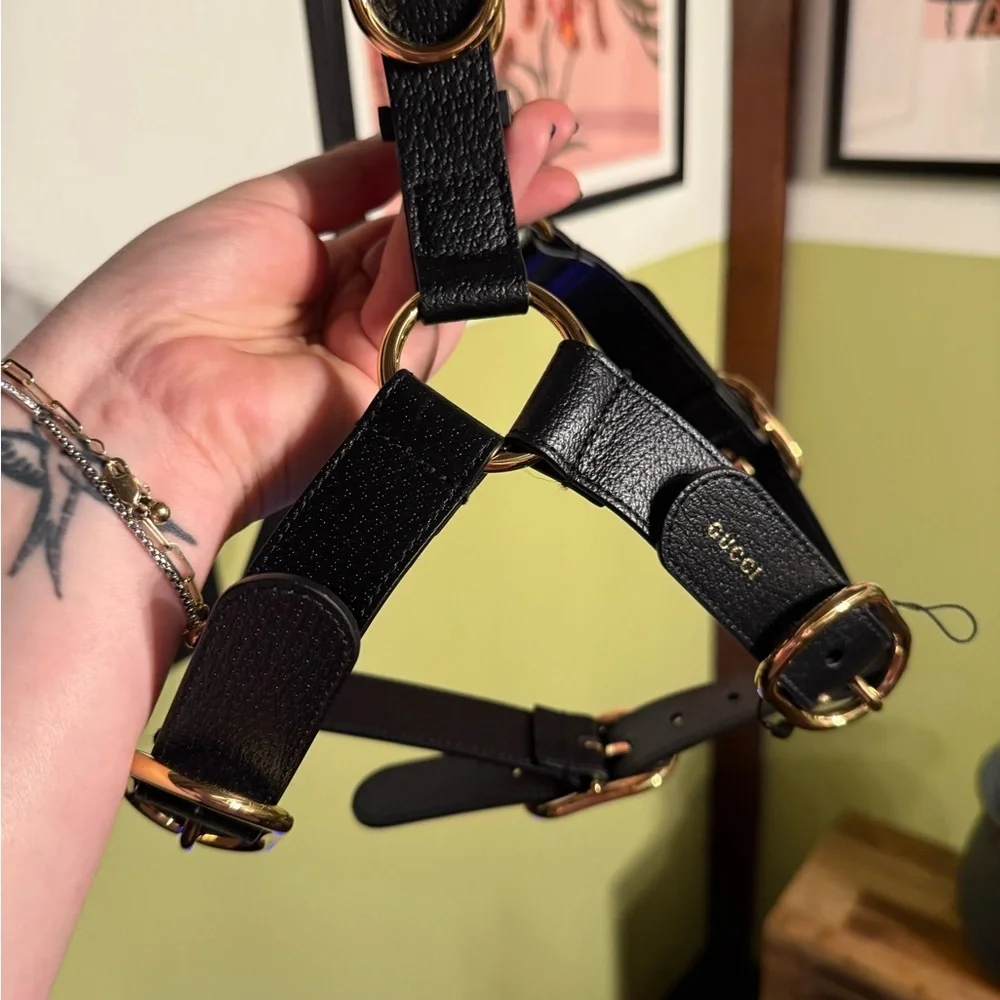 Gucci NWOT Demetra leather Black  Harness with Gold Accents